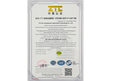 質(zhì)量管理體系認證證書（英）