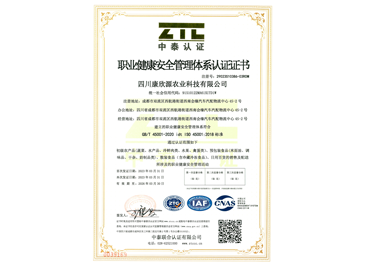 職業(yè)健康安全管理體系認證證書